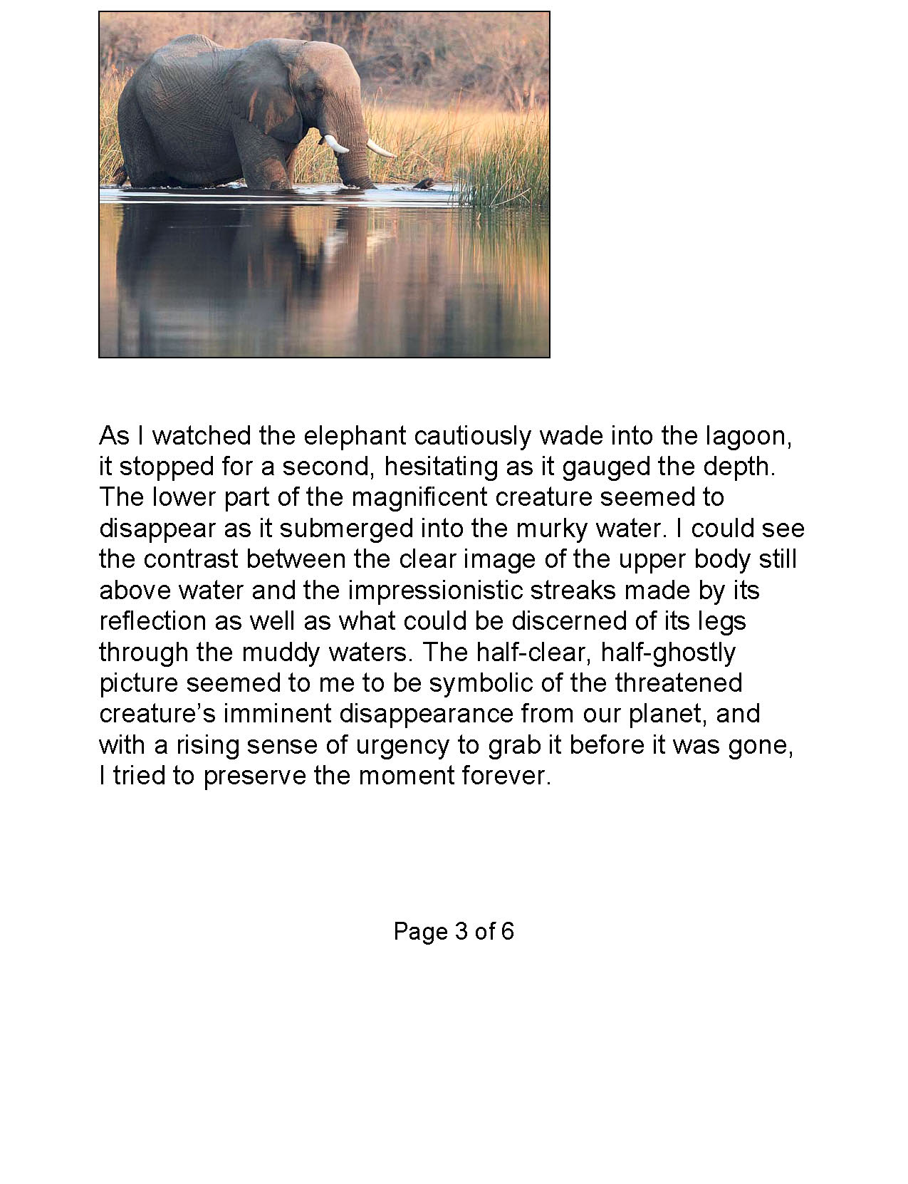 Elephant photo essay web 2_Page_3