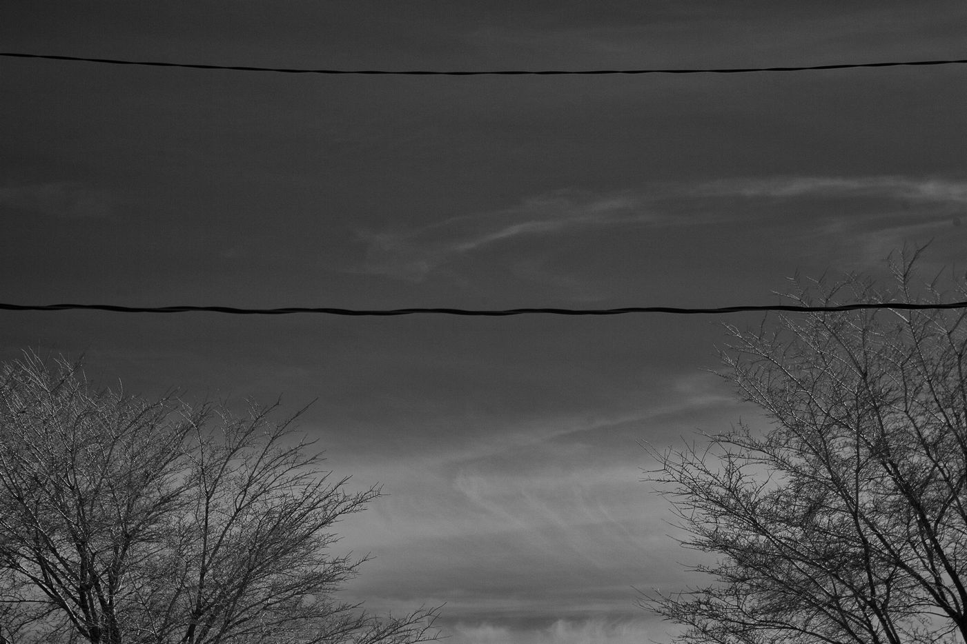 LX9O1544